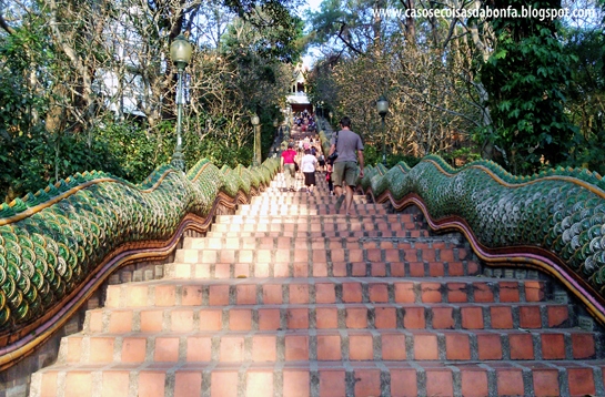 DSC_2052%25255B2%25255D.png?imgmax=800