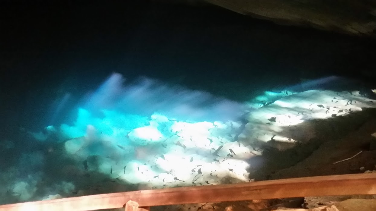 cyLNeeOdkxc4f9WHVWHiF94uW9xRGC79E5OhsVkP