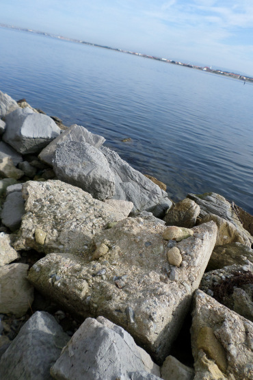 sam_1202.jpg?w=370&h=&crop=1