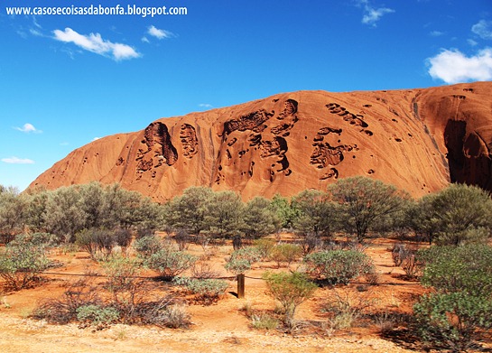 IMG_5195%25255B5%25255D.jpg?imgmax=800