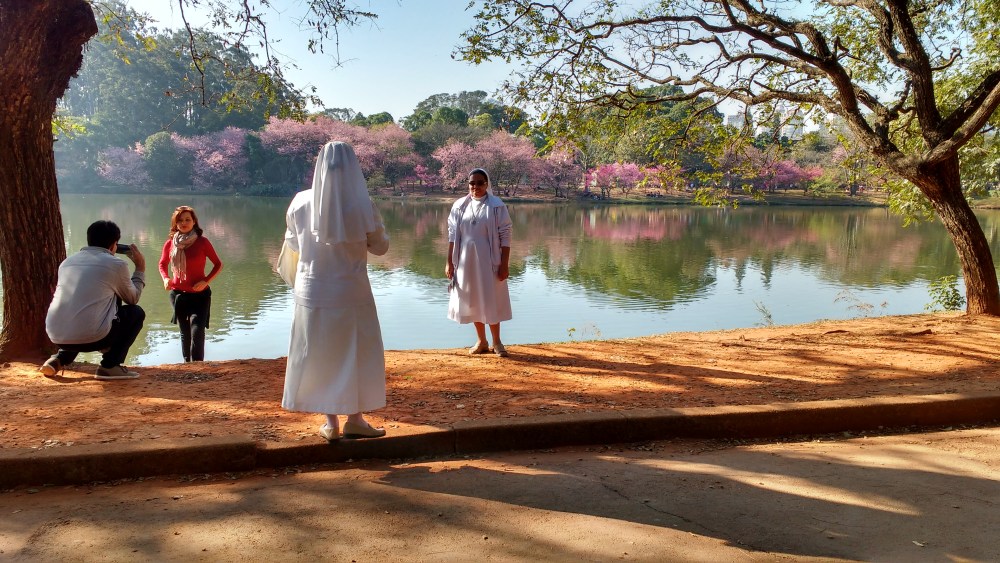 img_20160709_145213027_hdr.jpg?resize=1000%2C563&ssl=1