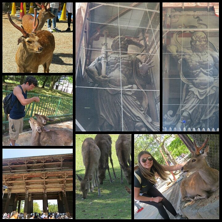 PhotoGrid_1440109252194?async&rand=0.90794564212098840