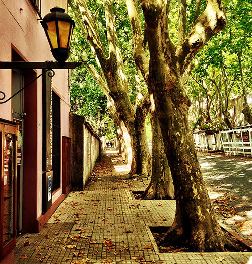 colonia01-01.jpg?w=500&h=524&crop=1