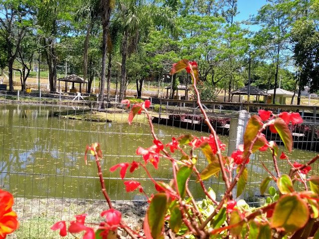 sao%2Bsebatisao%2Bdo%2Bcai.parque%2Bcentenario14.jpg