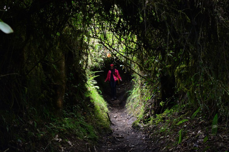 DSC_0117.jpg?resize=768%2C512