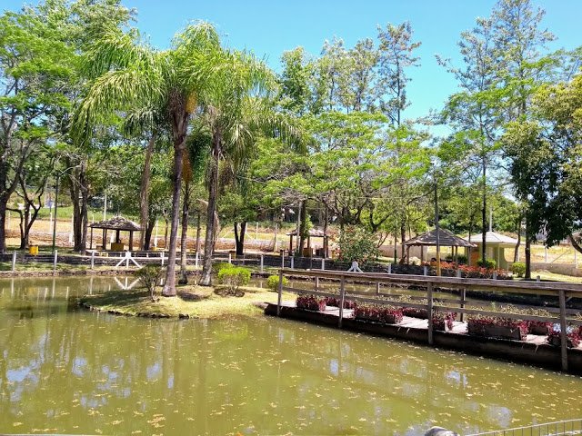 sao%2Bsebatisao%2Bdo%2Bcai.parque%2Bcentenario13.jpg