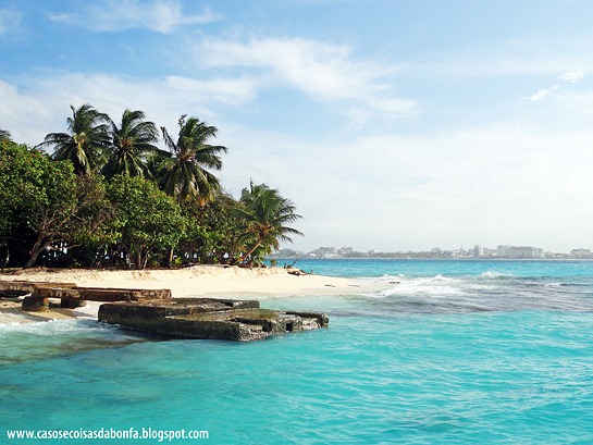 DSC09257%25255B1%25255D.jpg?imgmax=800