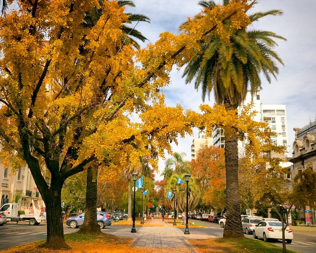 19120638_774899726023939_652384056137429