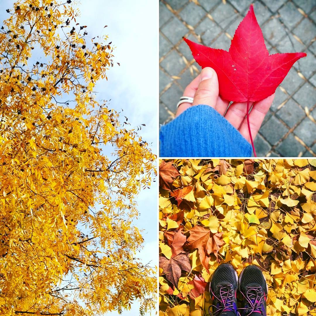 19121672_320690105035139_701075313534173