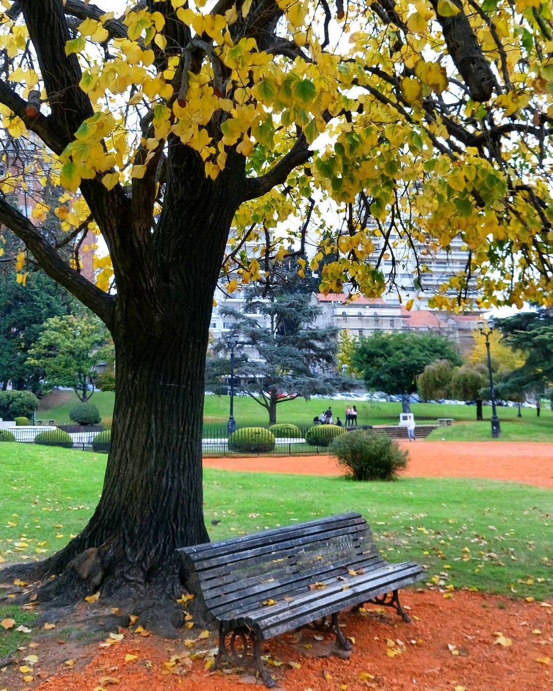 19122218_820685628098472_584486694982936