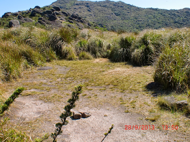 Clareira%2520na%2520base%2520da%2520Pedra%2520Redonda.JPG