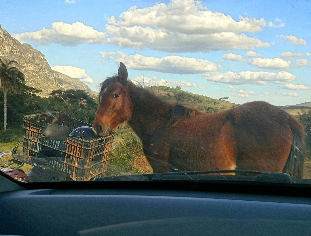 19622741_322144204910267_191866061094649