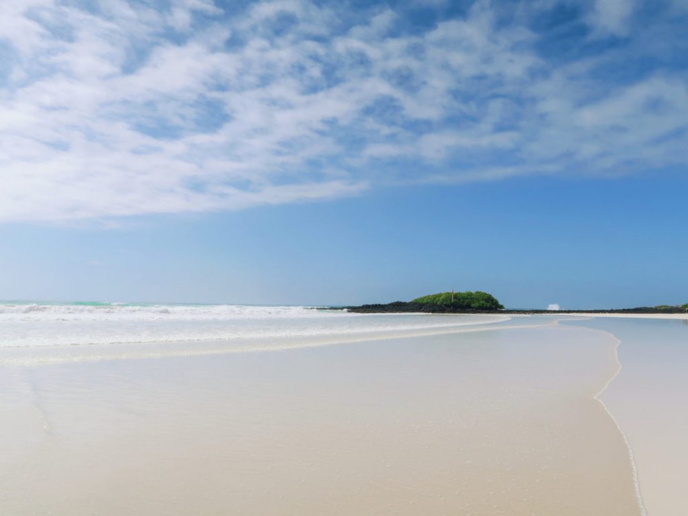 Tortuga Bay. As ondas eram mais intensas. Vimos vários surfistas por lá.