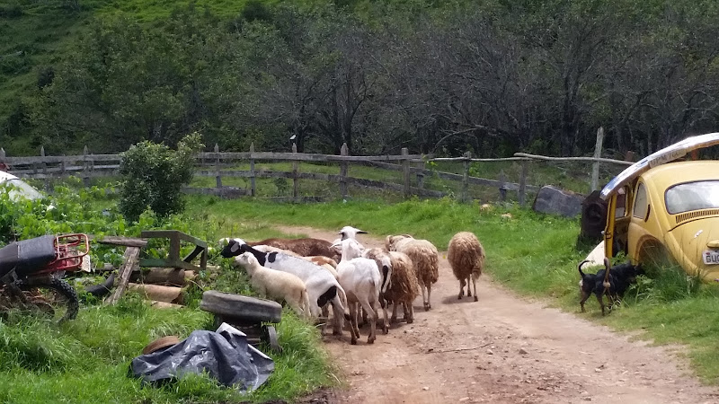 CdSdy31y76rxaUdME1B_vKQ3CQubmU9tiG0uoOXAa_78MmG5me2vzaDM3lEv9GWhF9UDoj_roxJgjDklUFu36Q9Cs3ZSiJ3imf3YYnjaG9k6kWh4butNm7twa5BPrtc4-oNKvsqrFFFZPscjjPeGpO58CMv1eTYhRdL6RMDiykRKajrCPtWUYgwDp1CMacT-gck_Nj14K0_r3KHvzaoZhTTtTj4AzacC70qWdR9zbqOmvrliKx2Yi4ztc802KWktCFoFvetAhboJNHYNsSYfIXpkKAf4kQjIsTbFrOrUnCS-f2Q6EotcM5Gj-EWH3doGH7zO1RpVrxhRygYRgEJJNwT4jftufF45voadhpc5rWlD-kWef_24wcVwCOIvotuIBO7ZhuZQLnDzoa_TsnFSA3Qw9tuicpm_H3b4t_m8mcnLoN8bWgNgOO5FeB2tP2BIc9OVKyXNDi4BUdKfm3CUQjsLWCKuArdNIemvt7MFu0AmLQ0fNUSXMI6Z2S94XFpR7ezIv5luDSMZvol0jc1EsfQfZEDfzYbFSyq1UTMz0pcT1Xj8SpM8hUh0zmMF8DnEIBIx_msgdwR8qpop8e2p7XB8QYVy_tX7mcOKZ_5V4OuShjCqK-H0=w800-h600-no