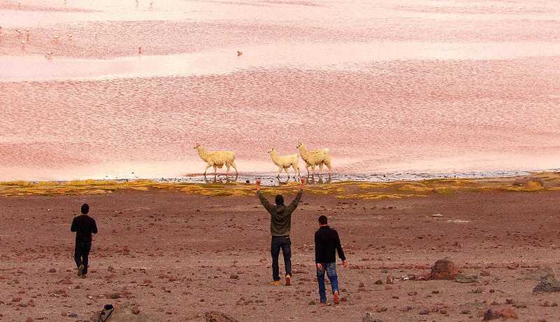 c2fc93_0d76e6838cc44437a44e75de97ebe178.jpg_srb_p_801_461_75_22_0.50_1.20_0.00_jpg_srb