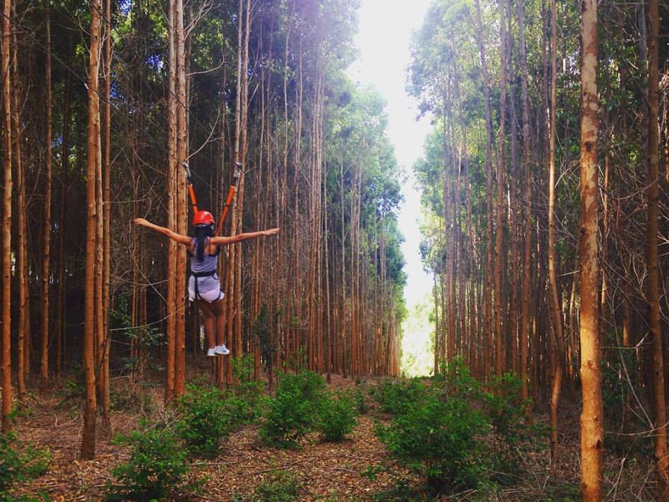 17990730_1285698014883400_90587292529915