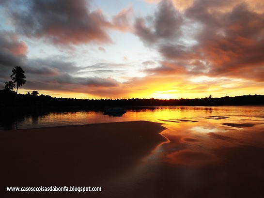 DSC08089%25255B6%25255D.jpg?imgmax=800