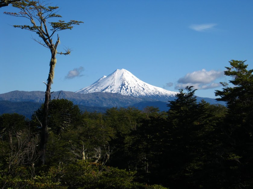 RnVCmRvkjI6T_PHJTEB2GQPzJS3XuVZsgis1nnSwIenQ9pUjTBUBx7X5QsAnANCqtqrfU8c8avW_YpGQeiQsNeBBchUh1RJ53F6Dq4a3vxQD3V4WA20N8-eQpYmT6s_h_LXfbDxaeQfCmPbOrr9173wmGb3OiXmpWMoq1oOJ_v_dfAg7blud0XYvtMbAL7AHbNn6ivGexDcWU9W9_AhkUv886Q_l7x6b3pk0wsWX1nROEGbKdWAB6Cxd6rRLen755PnI9vW7bO72-cMyvTJST3cJ2ZP7VNlTniju45tAbeuUgwig9xdqB67wHUYXpZlM9tVu0rymenBn-lAvb9gArOCngRTsBPf8qib3I_obRm5ud5utTKimA2AXBnuVZ0CMCfUU7YYC0VgtmK5p2SPrZLDkxedR7A5HdiR9sQIv0UQ8wTpEtfuUzJEI6islkfhovTQNVHbjoZ4c7HfgwXgH0fk7cYa7Vo5nJeBLMv5kKdh1tFxbJuIBMQyI68ycCa0h0g_TyhI_NBoupJQ3ZCKC-Ojmm64oxEbv6LGFpMB0zv3Ea24XS0ImqKlO-u1vHi45-GdDPGhOITvM0gEW9lbc1DDS9dWi1tvWB-X-8xGp=w839-h629-no