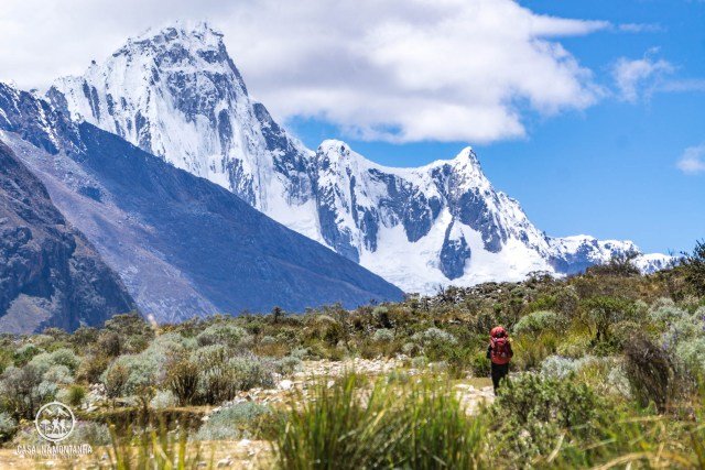 DSC03198.jpg?resize=640%2C427