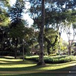 bosque-do-papa-3_.jpg?resize=150%2C150