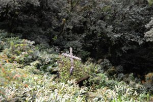 morretes-curitiba-parana-trem-18.jpg?res