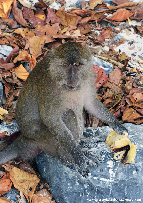 20160329-078%25255B2%25255D.png?imgmax=800