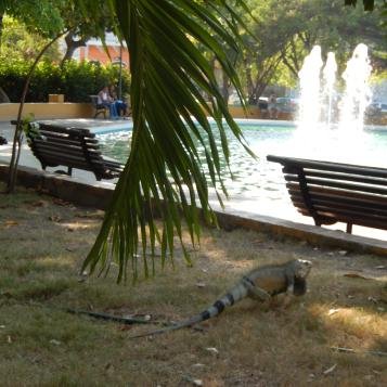 Parque del Centenário