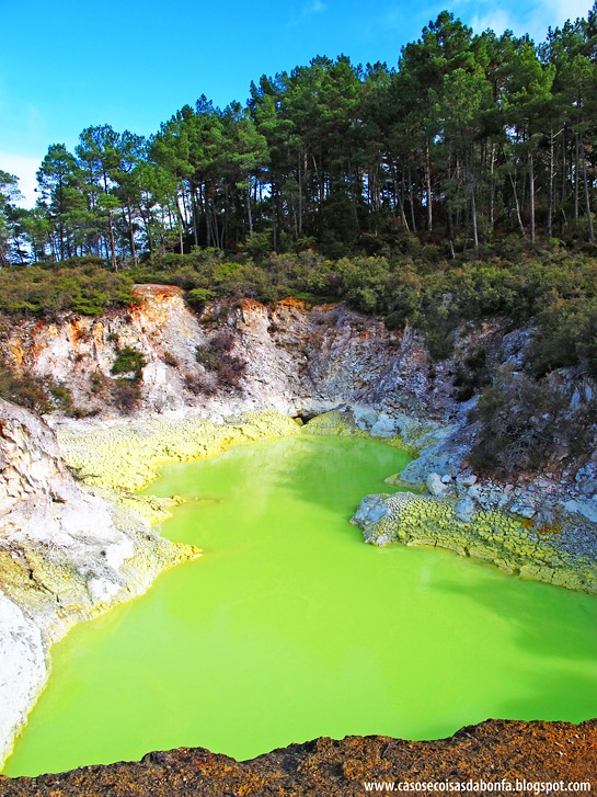 IMG_71059%25255B2%25255D.jpg?imgmax=800