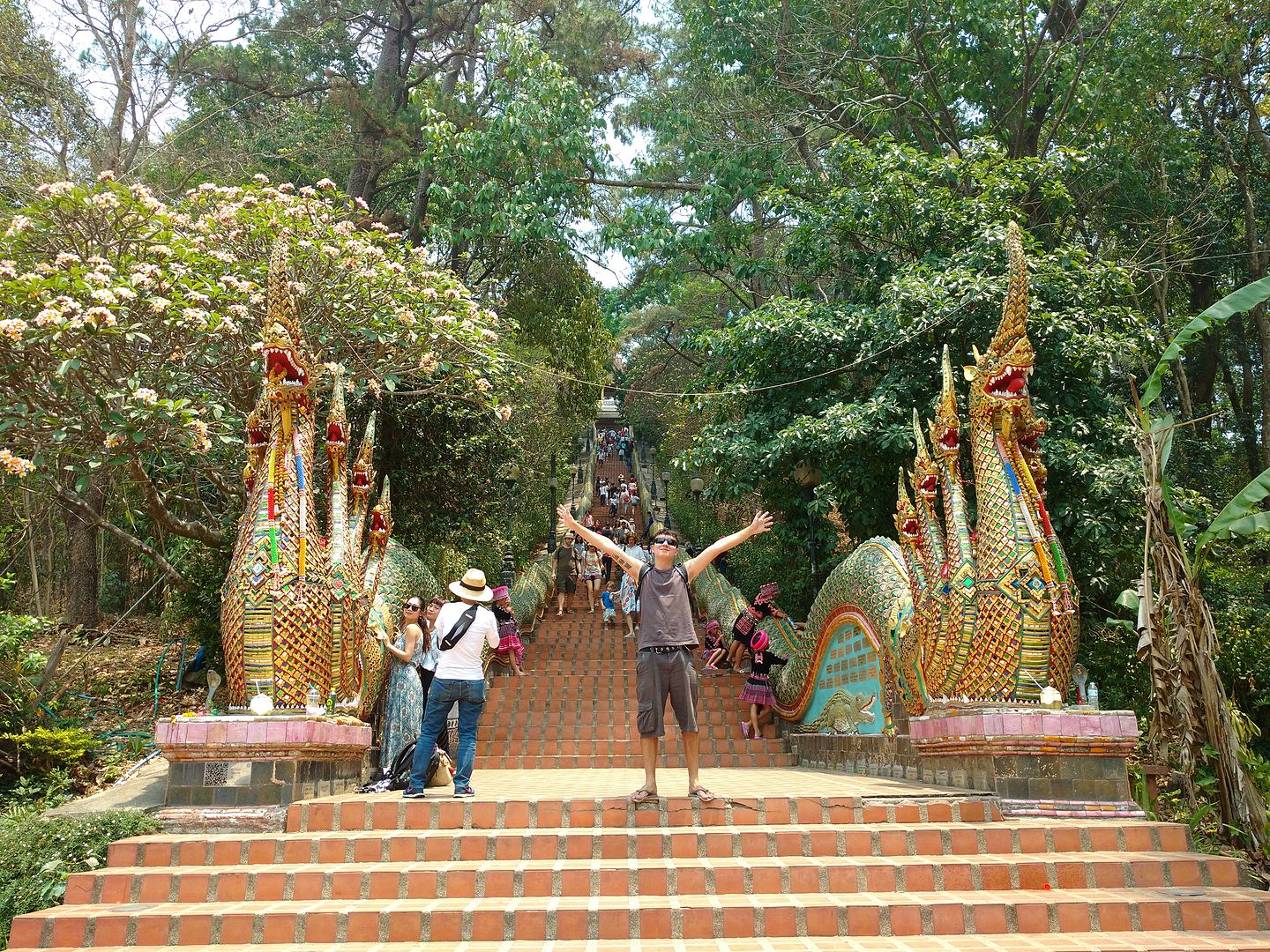 IMG_20160411_123428765?async&rand=0.5615831682973553