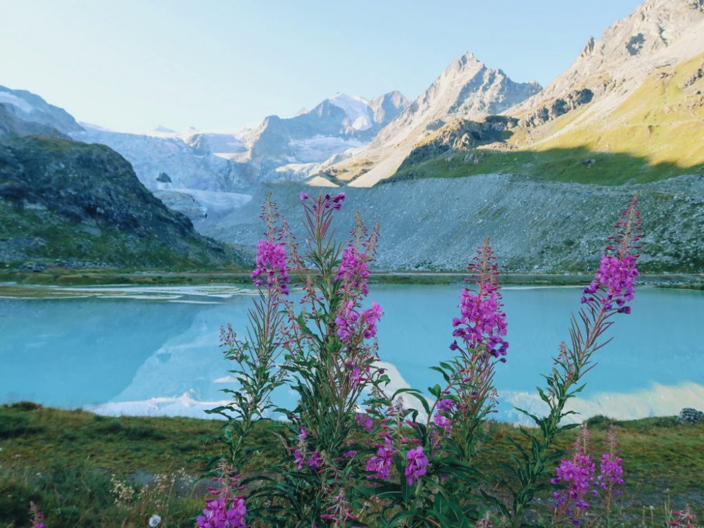 Vista que a gente tinha do Lac de Chateaupré, com o glaciar de Moiry atrás.