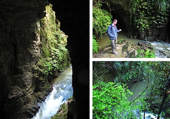 IMG_6825%25255B3%25255D.jpg?imgmax=800