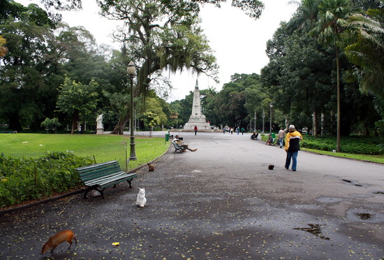 21.1247788288.campo-de-santana-park.jpg