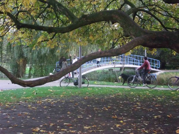 DSCF0437.jpg?resize=600%2C450