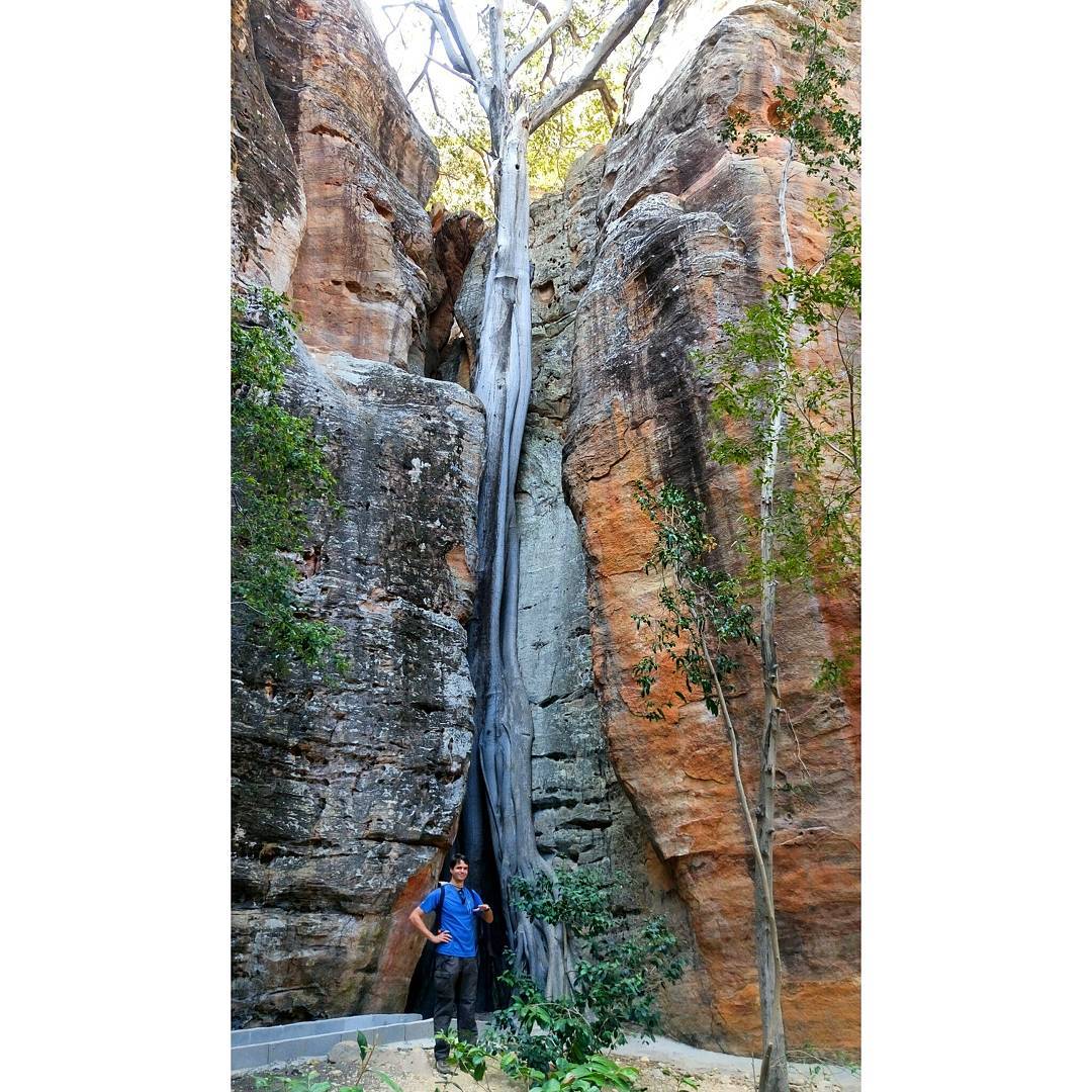 22427390_137474326886948_305173202654671