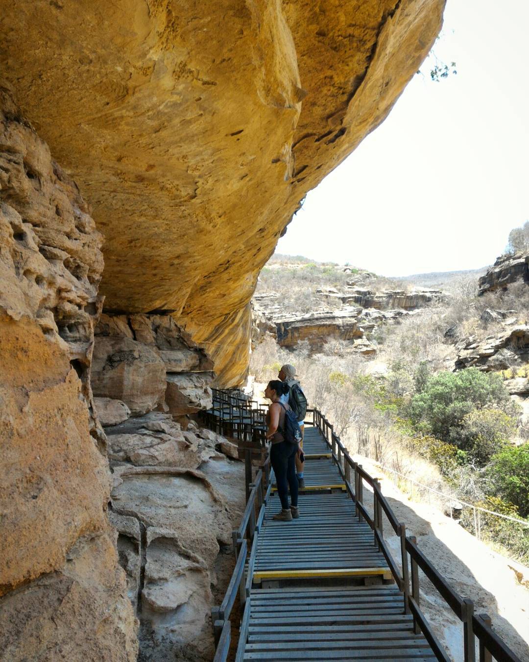 22430027_1796729777291204_48316896708510