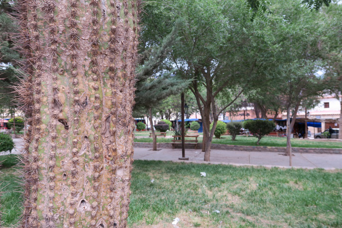 img_1112_zpsyk1nxbl0