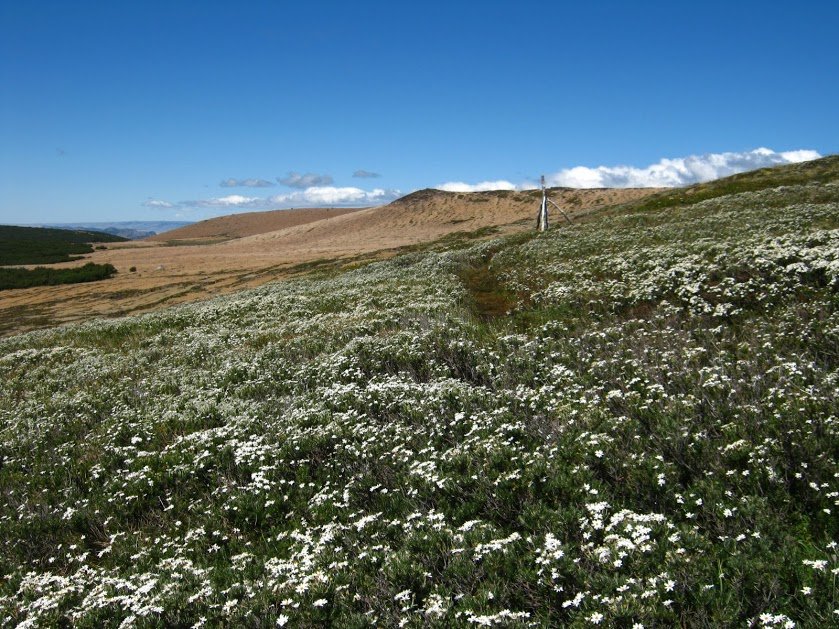 ORRyLLO05-q2ZaGLbQkSPn5fzRUyflOeEXnTVXytMh6SON02bCUh0eHE7copYu0qGOO9lvSXnY5P8qFgEqF_DvULuOSqwhnEMIkRpI-_L68ny1WiOWNnYgbN2gnrlpdInsa2RoZAzx7IOTarhx0Y1nkiLQYRzu2dtynbT5jilRNqgGtCcpk_MIbp5IeA-ZlOJvtmobHgAJzE7cqvFukX5v-5UdMlyuh0k7gWT4AfXN015JccQFnXOWY9BZ7cdVdEIErptMgLWkn05HsKwOxsxn8_bMmI0Ng3m6X49C6uLJfwZHrl2zovIFCvg4qlwmMnYU-1sIWGZp1SHwB3G1HQDeM9jkz65kI0cFpgQ2PTOb_IiZAWNYTso_EQ_qOvyToW2OmzXZM-SQLUgXTJ73YZJHhB8geB1bMlRc-3EUSIrKgcPKtrYrPRH_mJYzj5-sV1DU0ZgCXWcx9Levq6ZBHrGDir_SkjFgq7Ey9JqgCsSj_RlzuctqXsPDjBZTh7B27tPlFR7dkTRx2ZLydihUwedpxXW7rXGm53ixtgt_ytyM885ZIrHBGviGZ-U3LybwH6R2LeLI72lLL3_Z4NMrEp0cmfwITShgTiAY0-OvnN=w839-h629-no