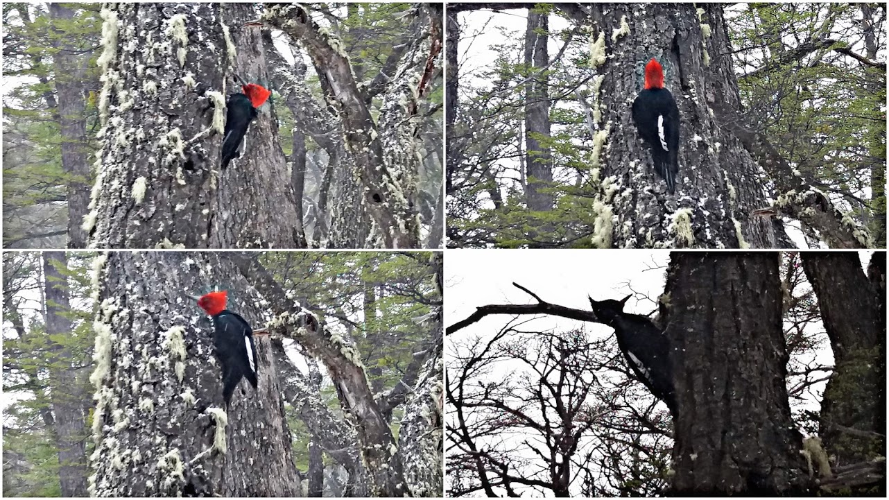 jyfokvnwKtflttv14LAtyFwfYlqfpbZQ-fOhaC_KPo7-HQQzqij8pE6iR8Rq4xXyUSx54DZyZ6zml7uUMYsiecl2zgfeKUV3xga9fGT_C2chpLTqAGEWTc9PsGdFMTE7Uny7EKbND_9gNsegl9KUKqTPqsquK_7osEKW1Maf1P_Ri_s5YDVOTFaYoUyJLOiM2WrWpiGCT042XkKP2pBSWCpLwAOrOnRQWy0G16axNlrBnO3urJir4COxnugpu0aZxQI78R3U6X8Yp-AIIFLMTr40VUklB3BIoe_r4q8Qo_JRcRGs3U4uIOGm-HpHuYOrb0MWDNj4GGE2R2aE2ETUSZk6T8g_DieW-8CJd3-plfY4iaItvLJuSQ31TenN-BDmTlTLaJVUL--3Uw5t7a-Uid3FLXQcjAZbb7ccM7r0uZcyIDsztLmV9dPh4UjoAdUX2lu9Z1ouIlVcvfky9ZNiZB1QKLO-k_YZIhFm17o1yf56Skydk3f5U5VSrpUJNbuQHCibwM1OOFKMPEkYG2krIbwGXZv_N_xyKwJDfW8v5XZ_soi1VaEi_nAGkbupUdTaq1tt1l5sfiAE-bd4Gv9at6lSSvJpUF8pkwe3xSKtAe5Y8ebsBF5gZQ=w1282-h721-no