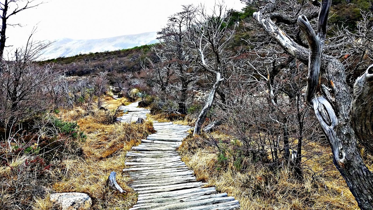 ID-UVhzXcsmCdu-E7KYtuBnzP_rMTJbUw6aUrDxh8WBXmbL3vOOHQJIiv0A5Al11h3MTc9LPNwB-74XYJVD0TYXzwTRq5k6e7YqEo5SVEHVFWBK_0Opq1HHlxtHF3THSnamS6C10h37JmZNavDnDb9QNA5MxyxM-TkPOAFYX93hQHtjzh37b-ETJ1YNDRrICUKV8PE3oUC3pBOiDMV2FRNmb0hiXt9WE7FUYZZyZvH3ym45EqKC0S4FPI7d-eELj1x79fY-i3Iy-YKBnUejLQndctfWr2yPqgYTPynKl4zhlUybqXFI6VYBIek9-9tbV0r0NjLQ2SxMaXD9pTcwWixD6XymptkB_3ggGdGVWiZZlBnwtn3n-N2CsmvI-Jlcwaa_xFAs1zb-Ub-SSM6rY6O9l-UptmT-E02GNdV3w2dQT815BCkkOYvwWTbeMMwCDyhWShrbE9cb6R7vg4xgpeqy3HZNkwhtxTIQ5-4faYlV-l524nAxyj9VmFGXcmVofXHwpBgDKxsQVMAdeB37NpoRjOmdC31jQphs2YKdN89Xq0pPovog8jBQzGjY3UqcgOScEV3ZQfrx6BcHo3Q9bHCtoMYwROCggn3aFyeY7S40xzu7dNg7YAg=w1282-h721-no