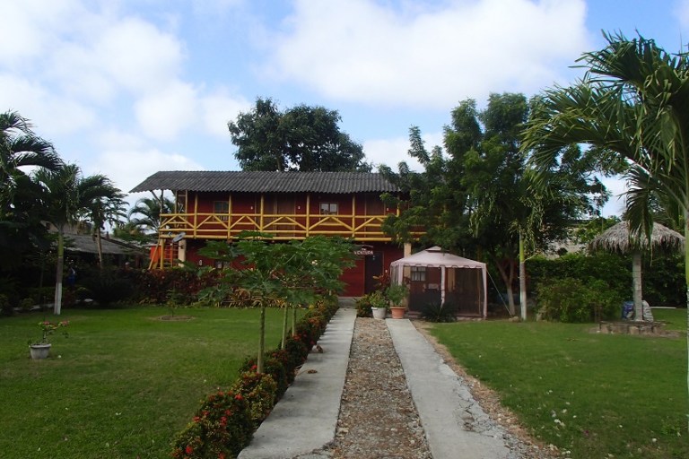 P8090023.jpg?resize=768%2C512