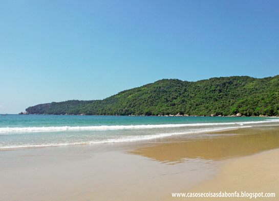 20150119-007%25255B14%25255D.png?imgmax=800