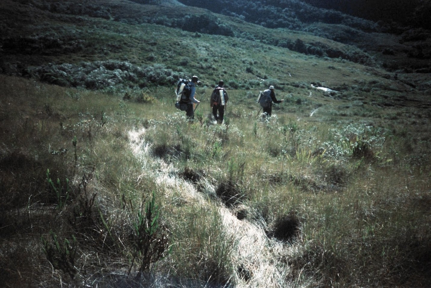 BWDP4UPdOpX_37QXt7-QVmXVRw6M3rVQIx9FqZ9uiTh7-Kp_nKAtC24J4eaDu99GnXXgZvCFDv8OJtvsbMPK-W4RCDQXs4t8z6lgRDjx5-O5PBDhXF4S6J0Y04cmr5A1TUQ1K16UXQ0HS95-s9qVOhXTjRl41B9tt1k_qUwcYy5yYHHCoMzUSi_1SYC6v6U0hD-hwdiPlF5wLhKNlTaAAcHre9tOxc6h6pVynFd-ULP1deqaRPwUAnVgn2AhW_lorYRut9KkqFvSOkuEYqtJ_-G0Rxpyl6sSD7zwZc-5T8ErJIf4JYl41Kfb9YaGmHAv3oi0Tcz0MTEagPQcRolyteGG0BbgKNvYRG0Ck-OBYdEDSLj_F1NtTO-yXSaFKEp-2_oX5ccS835YL-IAZdk7GxoHTiYJnmYpXoulhhyaIUNR-3DHeRaDRBaWNWY-GaHiRsc2GHM_iQyzlKU0oIi0rAcWtZsgjTPDNn74mm9oToyrhjZc6wCsik--ZRjjOiOjl3WsxBavLKbD-gKgcpMBBraSwiPRqi9u8PGwInlYmVKzIeVE1t1dKFAvX_V5G4Ow7ElD=w1432-h955-no