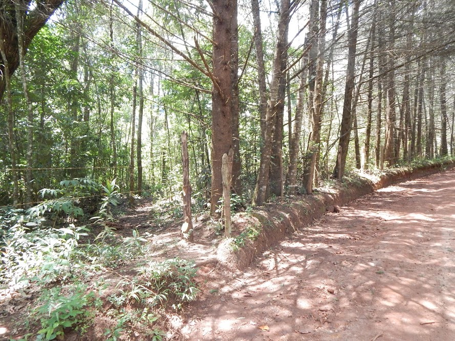 jwLZE7UegChTCE1_K5sqCvHE24OT03y9Wt-ZMz-bfmam5M96prodF1z0cCmrErYuNuHW4vtmchfEccSfsTGjiymtH8itdNl_4IXAi0IYNQbP3BadQYPiWKz61qvNxB78ue6eQ-i5L8qhSonZ9GH1fugXmHSYwNhCT9nK_ef2hCdUGpKywLoRXwR6yVL0V24YVdXeQOWUKuVdYjECpEjAbVZBK3ktFdEvDm4XnSX7XuoVtg1EqGDCHO-PCle1cZ-OyL8ip1S8S_3DWh095bAnTGgex_uILzW6P8kUEC5tjYU_J3nfaVzpWpWvdEK0K2bdQY_7oGM9y_9QqDietVkINgH76O9ZobiVOWi_50ZJRX-OtexG-HJPGlYb4x0U3kkFd7Jv9lUr-OSz9NKOHeoZ5cthenIiv-1_M2ZTXgU9ySzhgaGb8f-bWStgu6OiosUCXcQeXlRw1aPRCi_D9G6n-dRZrH8S9na_ywSrV09GnvDOXI_BDWmMmG5Fbh0uLeI2aLZzWv0M3wGqTaSpgmVgATKJKZN-d-Uy0K2HJ3-htPTLbeobYyzXa6u9cGqc024xv3h9=w890-h667-no