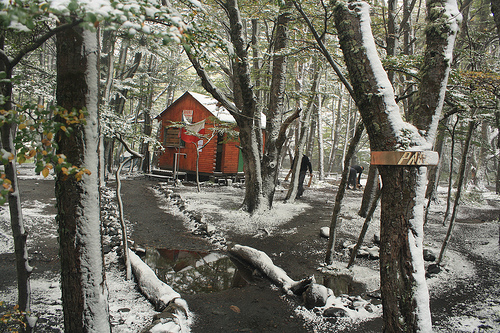 3444877348_bae63d1074.jpg?v=0