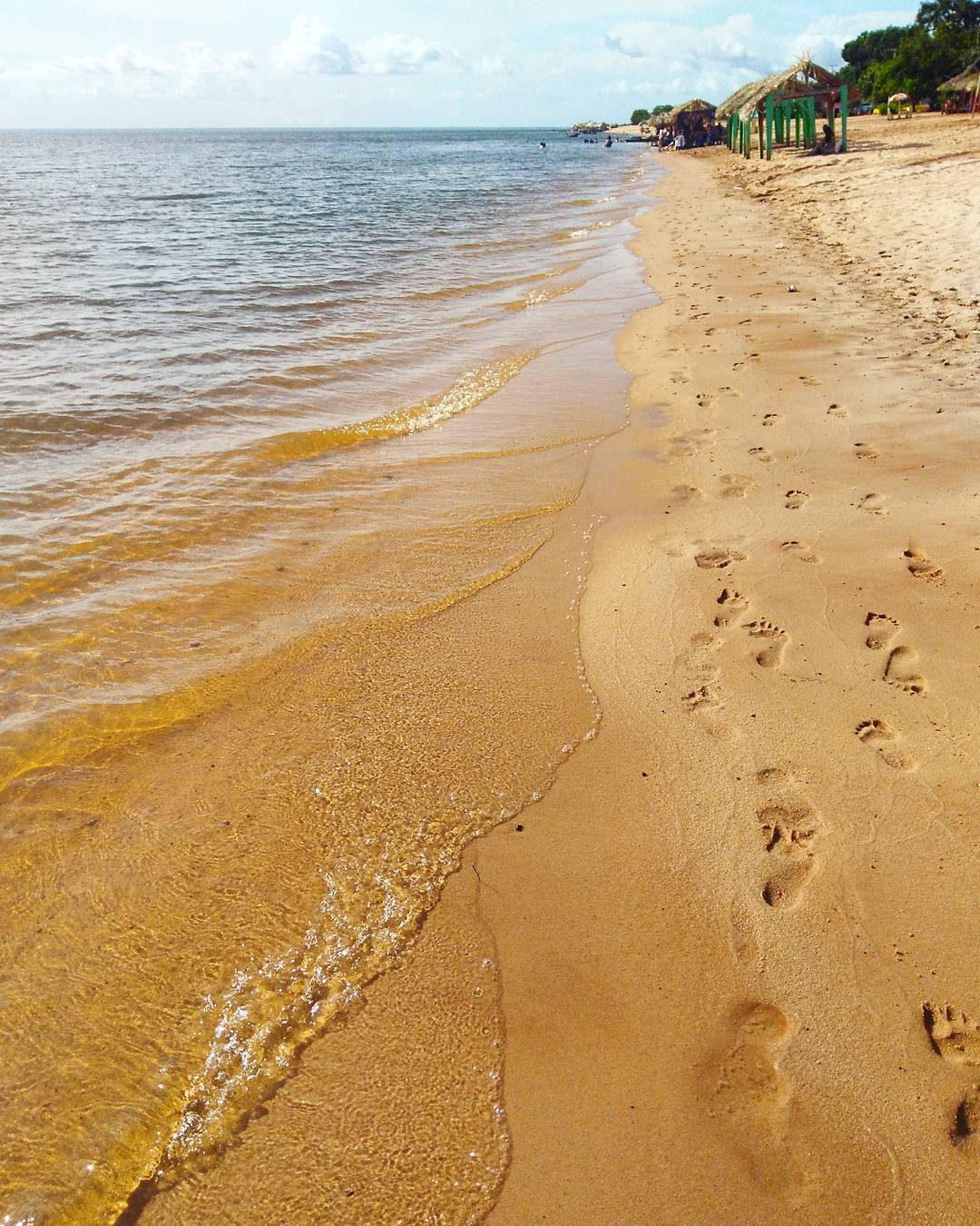 27580471_1993092264053896_43373401462622