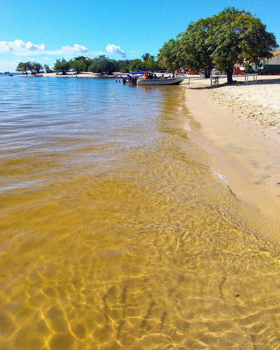 27580483_1619918771422895_62445087647544