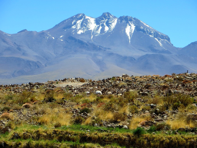 img_6037.jpg?w=651&h=488