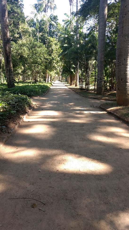 Jardim Botânico RJ