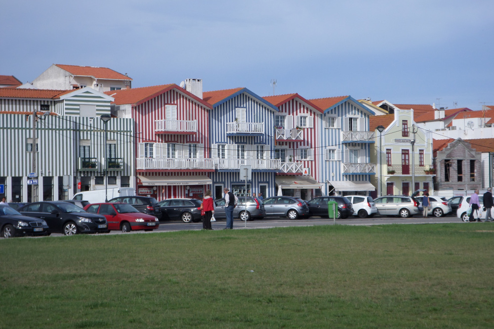 sam_1206.jpg?w=1000&h=&crop=1