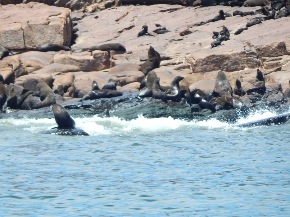 oPy-MP3oSpXDY5ECfoELkekqGphmcVaisBbQIy4FbnDu90v9mJp8dYwZArw07OpH936FeRdhFbRplbtmt5cx2THaTXKrr3Pca2e8DvawCKzGWBG1rNvu9sFNYvEuJw77dAbBHF_RVdV07c3y-5SHtqw9gqP9cpazokIuueALxvjlPpHi-Ovh4Cd43EItp_mH_ZDzM-Ow2rxxHOLeV3UdNhUcYmrYgK8JKj1XETZ639JGfUjkU4A0cab2cdN9L7BGPKCy2Cpw4-75LxowqiiV3L5gTyeImldja4K78R-3-sBgp9FJAjxn9hOcDKpW8bm-JLEABzsWpKxx3tTXd3v7iqnZExg1RSQVzowicpReTBhL6mQrxS7gOV1N2GsTosjAW1bQeQ7GZGCIZKmAk8IdPmi8_-ECIfh0p0lWRTiWisvRR2nQKJ7BBCruguXsI1Oq8O7TXbtpt8pfbWx1vn-3_xrJyZAD9uBKuJ6gwLLbDphdlDhjjwsn3O3l8MvdSzeBd_MHN54XAV1No4OiCczpxA6VSA5O2kywcY82ogVXeexB6EQTrD9G3foBAUVAtsGUUpcRPNDnh-olyzq6Wxx-FFceoeug5sPNxMNqGXXPADTNpVGpW1PN=w934-h700-no